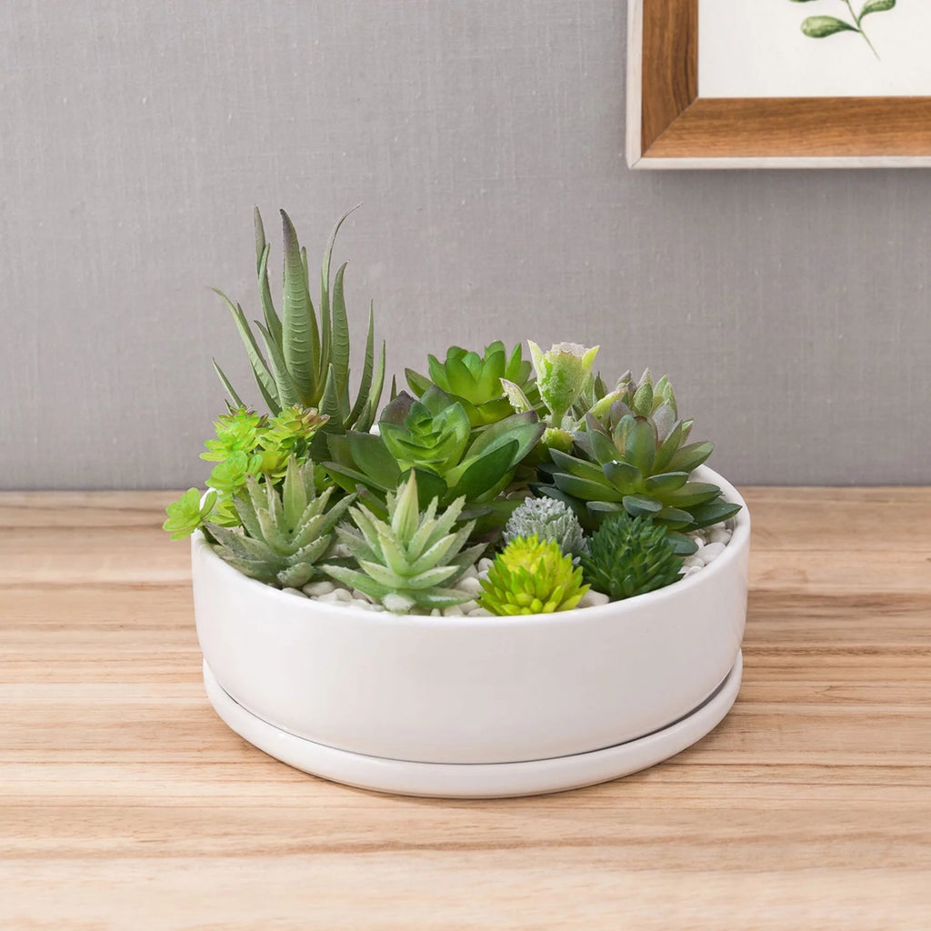 White Ceramic Round Succulent Planter K829413