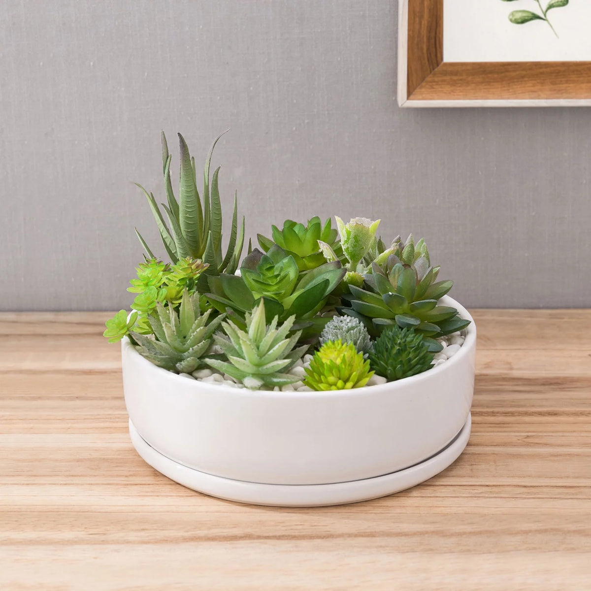 White Ceramic Round Succulent Planter K829413