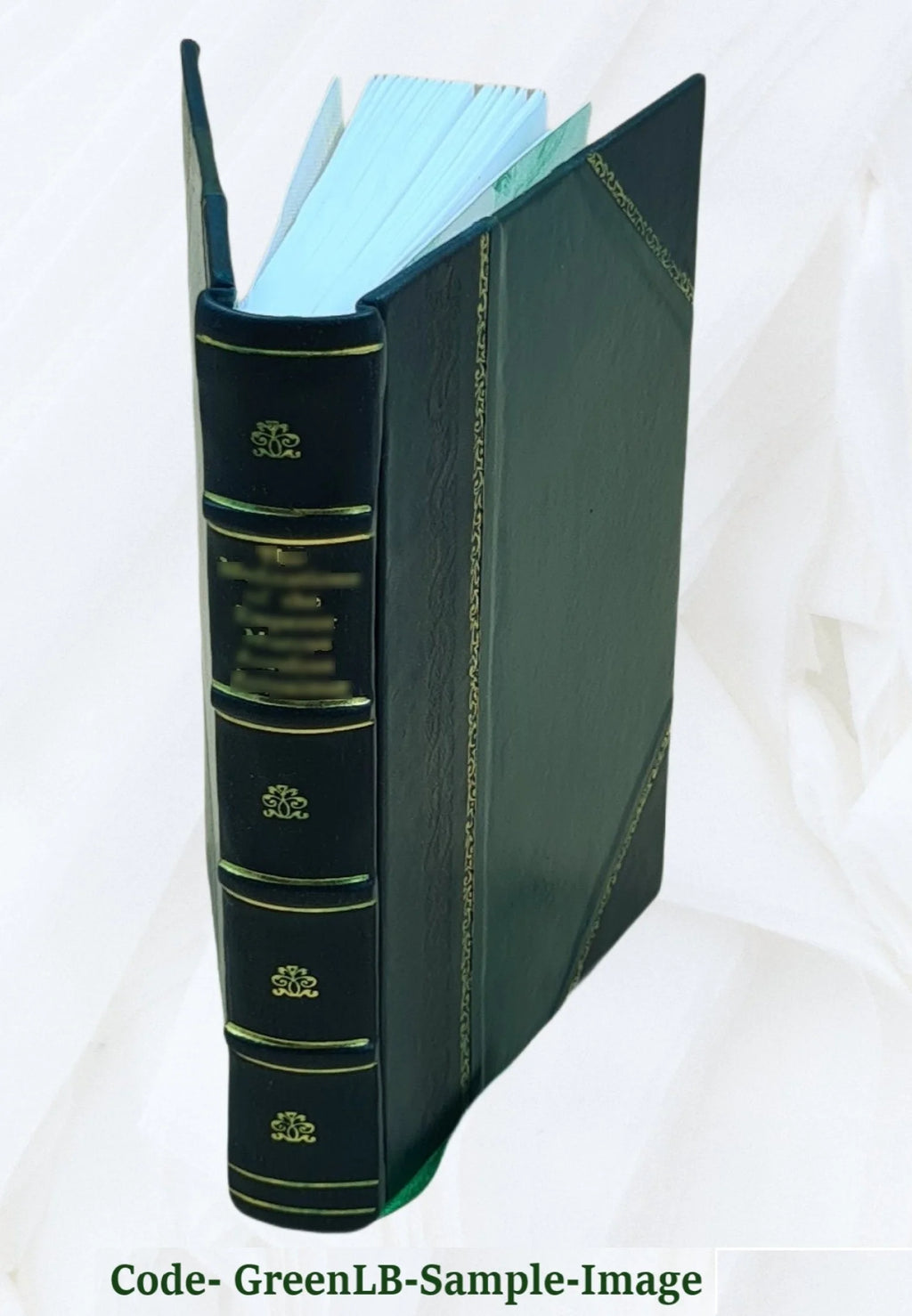 Leather Bound Book N470