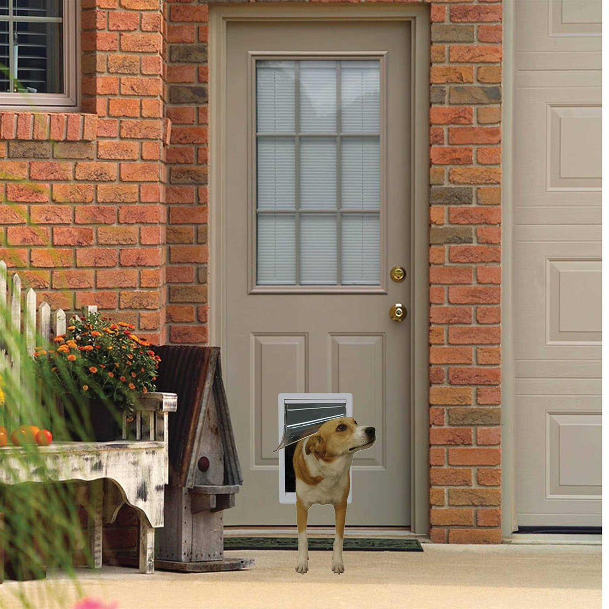 Plastic Pet Door T58432