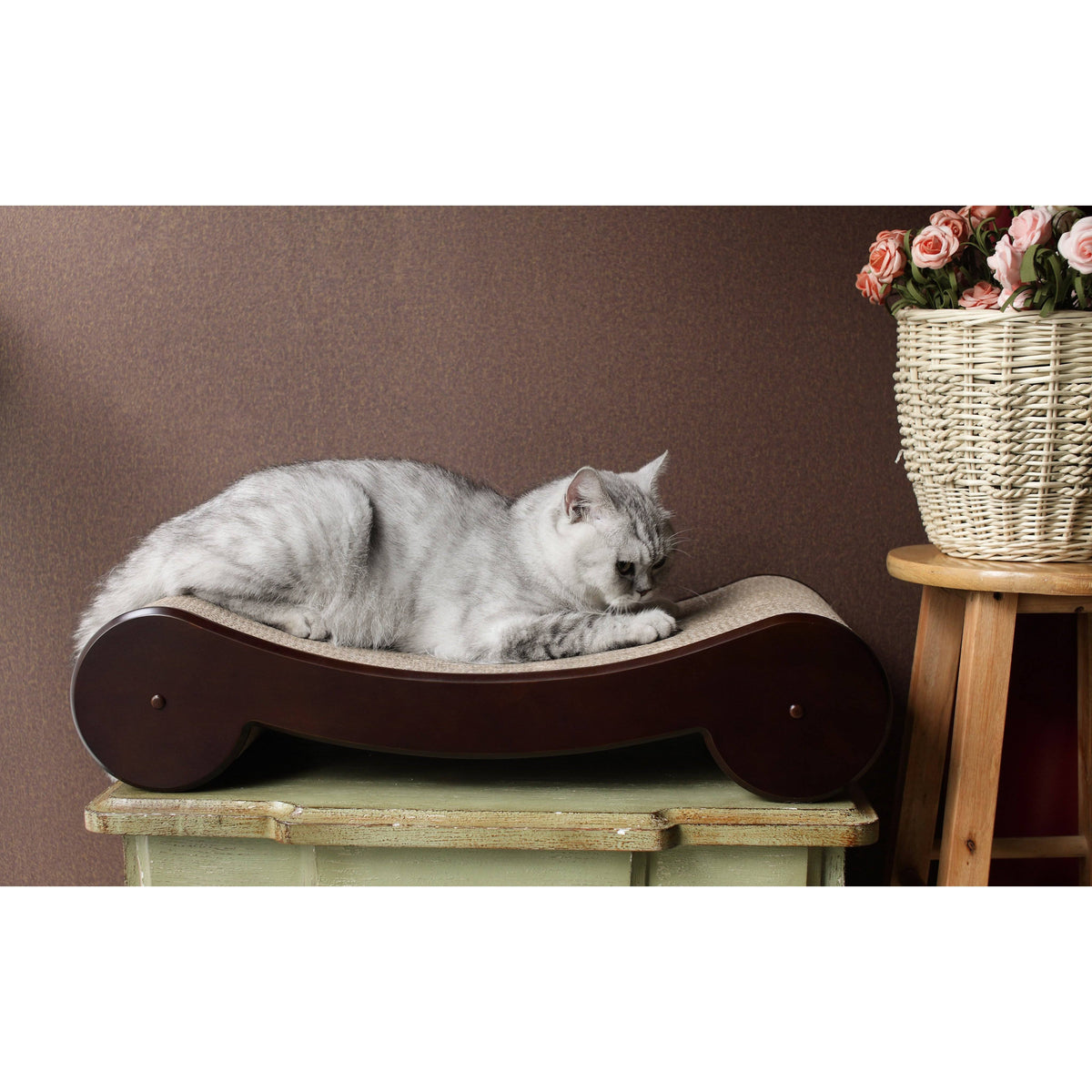 Cat Scratcher Bed E5401