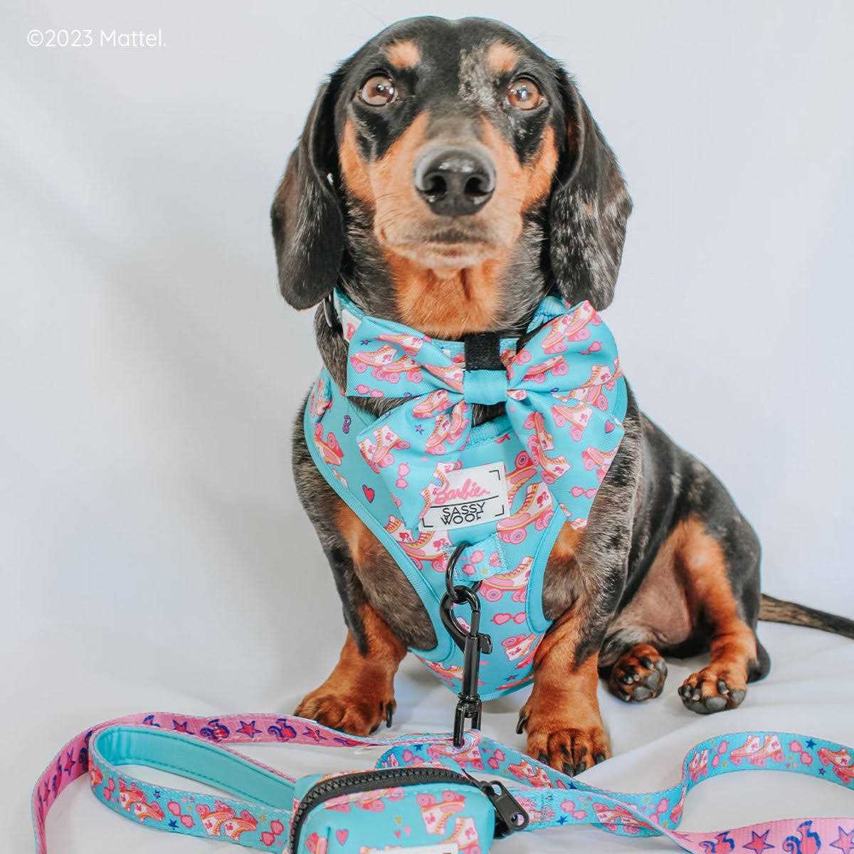 Dog Collar I3299