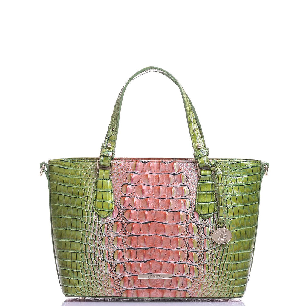 Watermelon Ombre Mini Crossbody Bag S6193