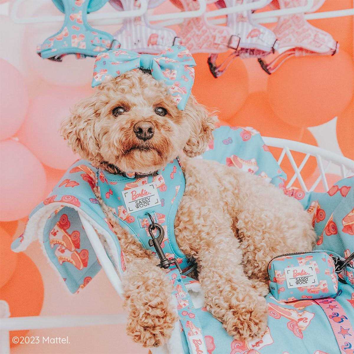 Dog Collar I3299