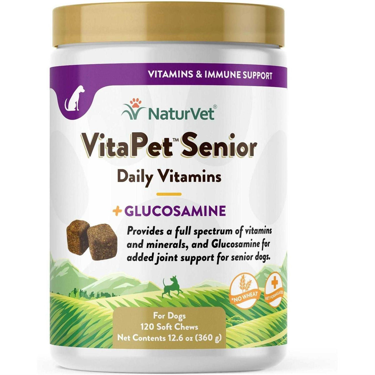 Senior Daily Vitamins Plus Glucosamine H2308
