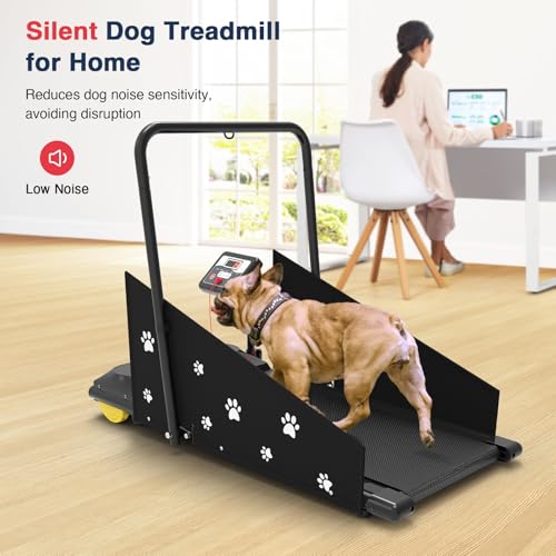 Dog Treadmill with Remote Control & Display Screen C499714