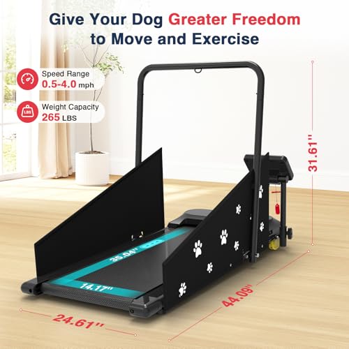 Dog Treadmill with Remote Control & Display Screen C499714