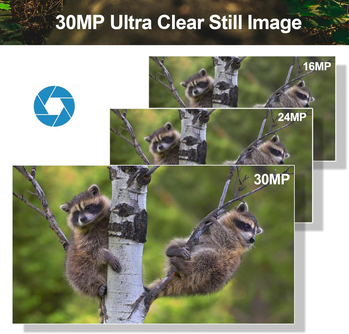 4K 30MP WiFi Trail Camera with No Glow Night Vision IP66 Waterproof M463