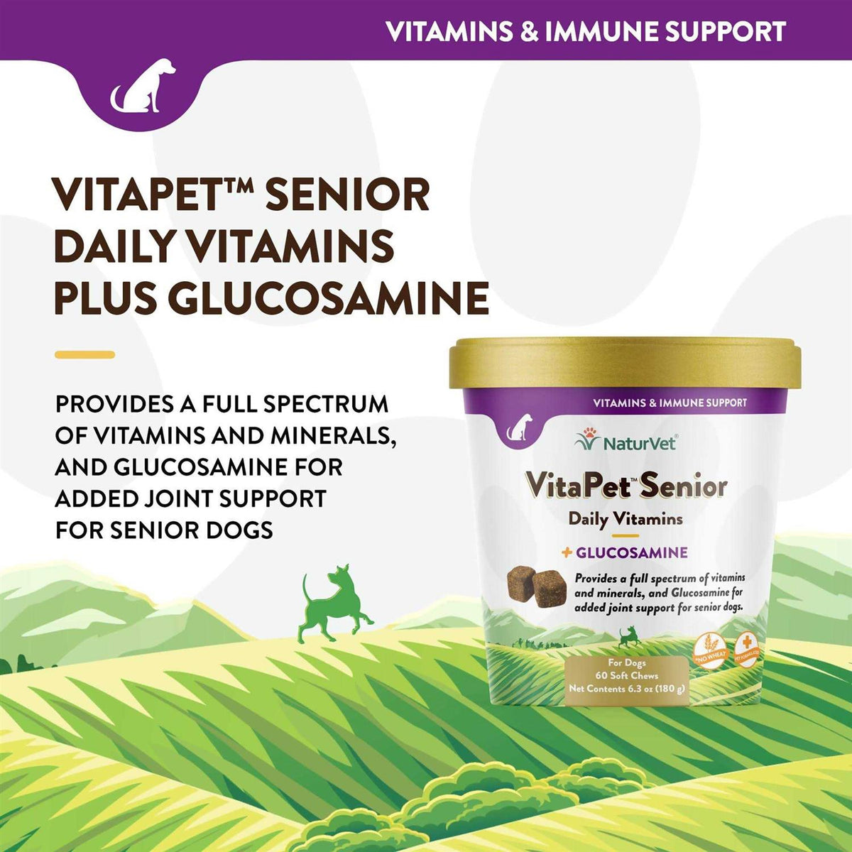 Senior Daily Vitamins Plus Glucosamine H2308