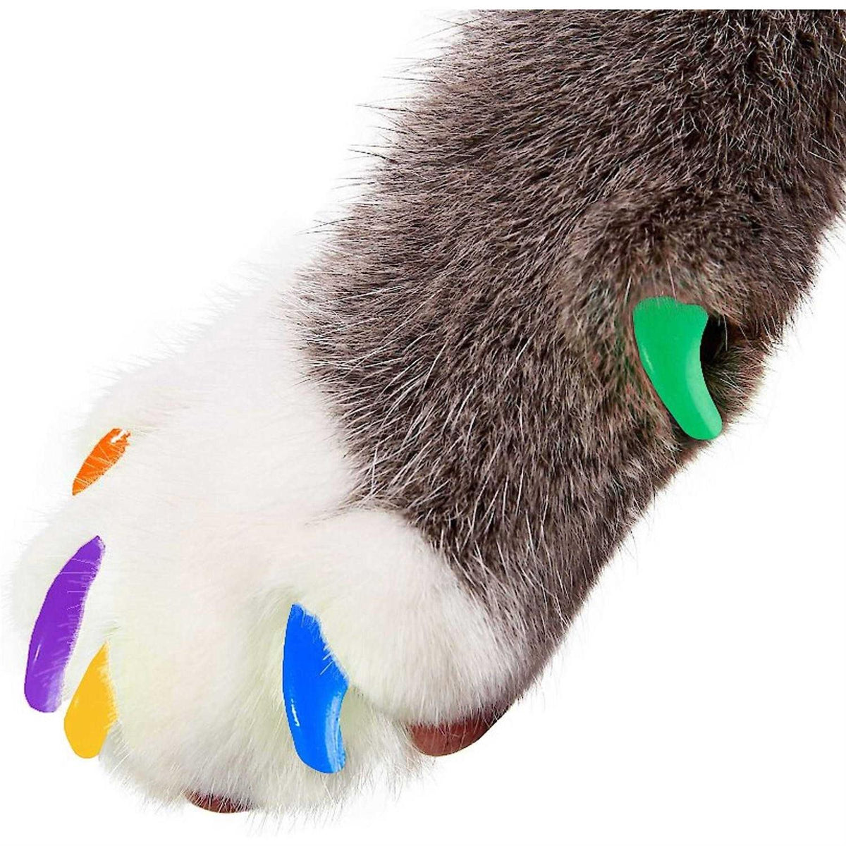 Soft Nail Caps for Cat Claws R573673
