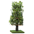 Cat Tree with Leaves Cat House & Cat Activity Tree N65783