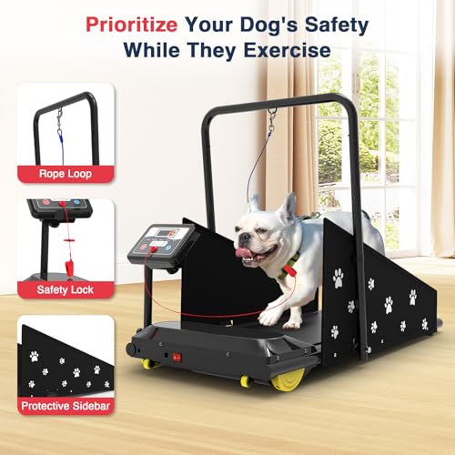 Dog Treadmill with Remote Control & Display Screen C499714