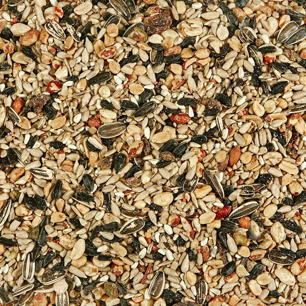 Nut & Fruit Blend Wild Bird Food W233676