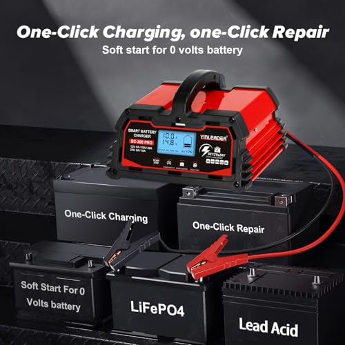 40A 12V/24V Lead Acid LiFePO4 Battery Charger C224