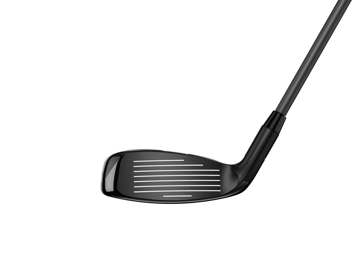 Hybrid Z6359
