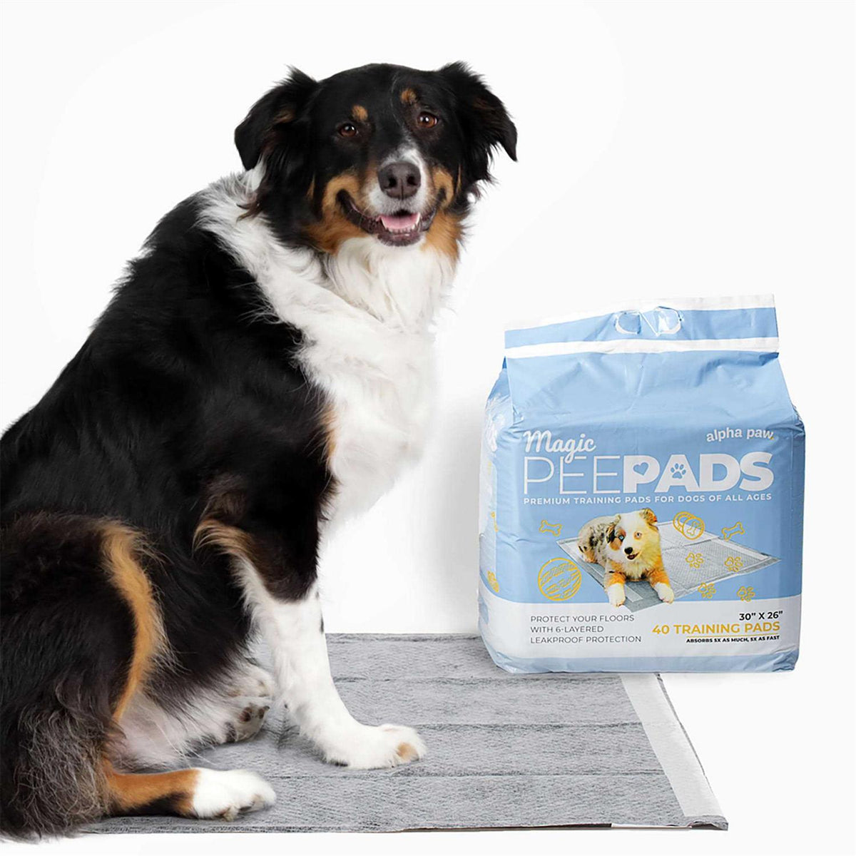 Dog Pee Pads I1256