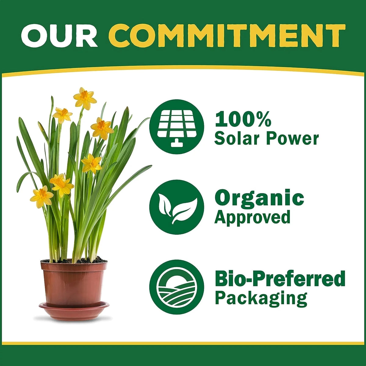 Organic Cow Manure Compost Blend, 1 CF W149378