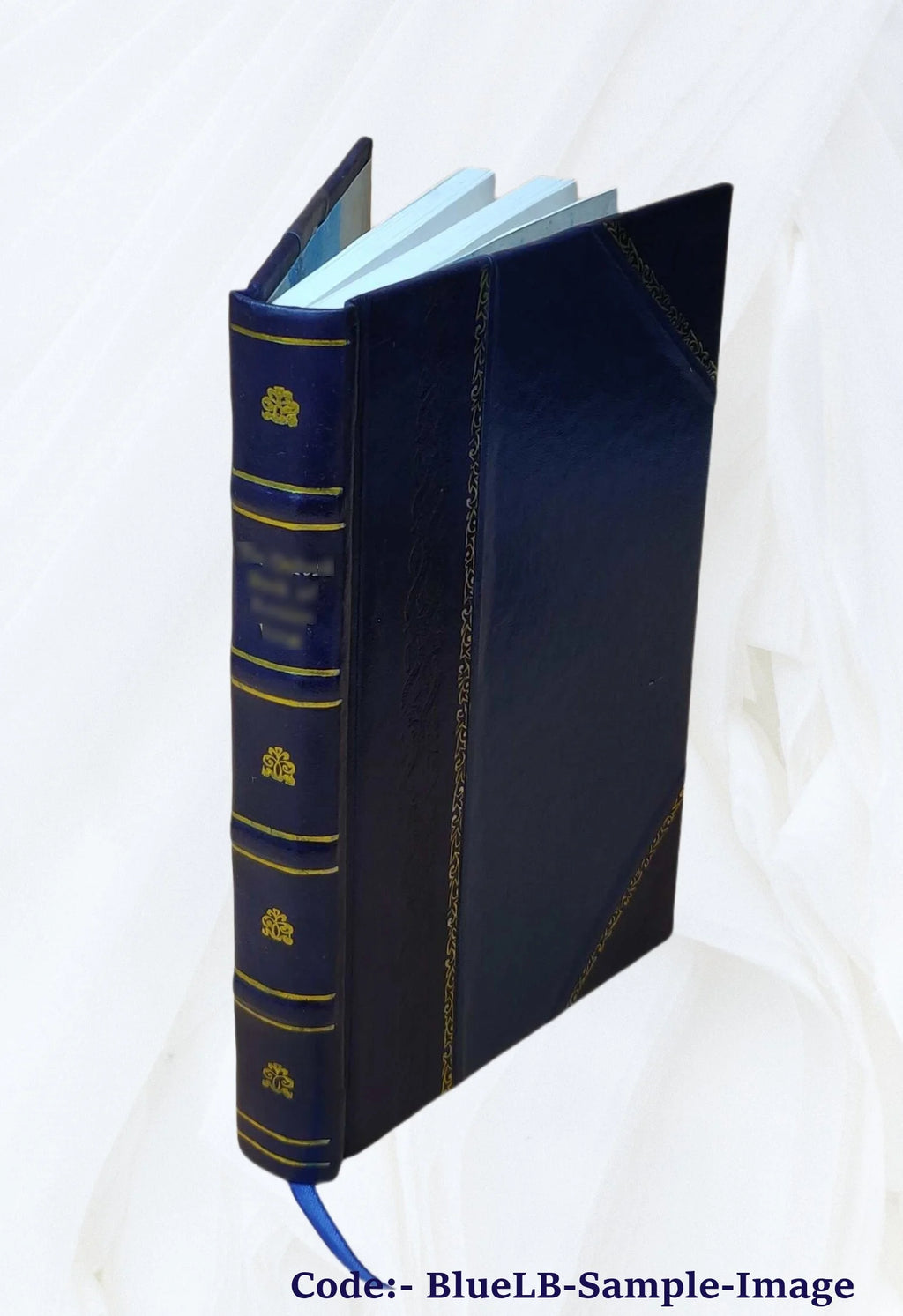 Leather Bound Book N470