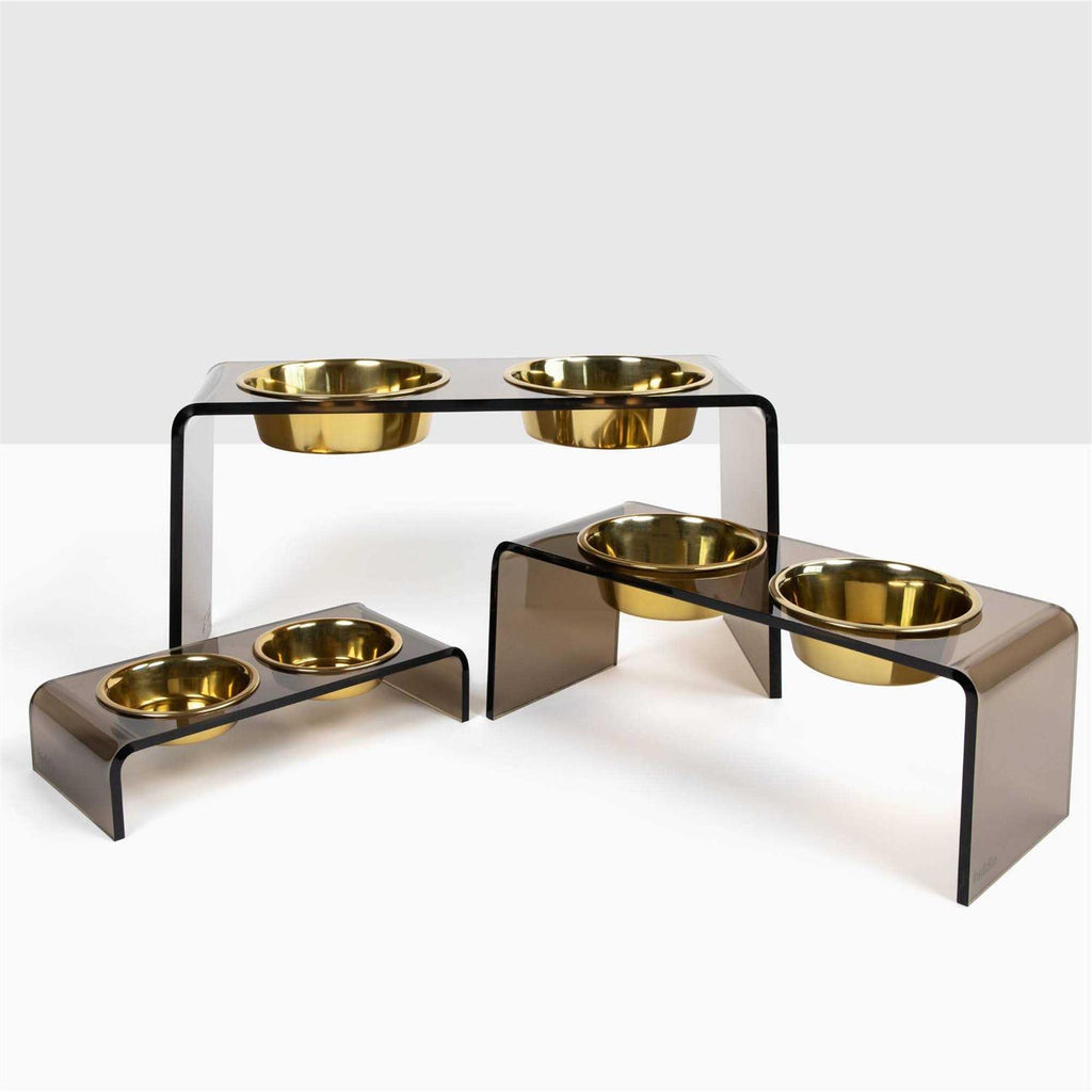 Acrylic Double Bowl Elevated Pet Feeder F126482