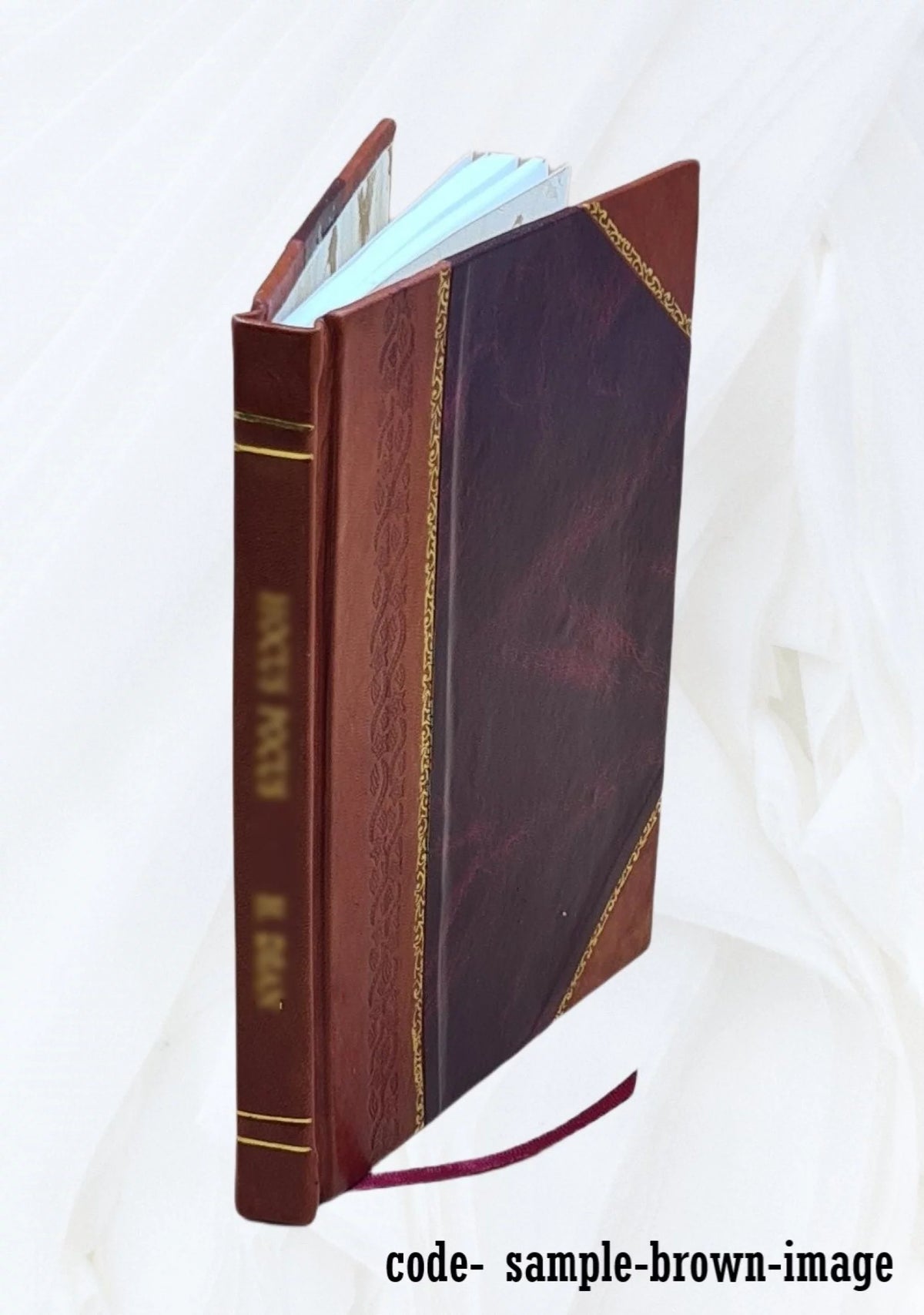Leather Bound F167531