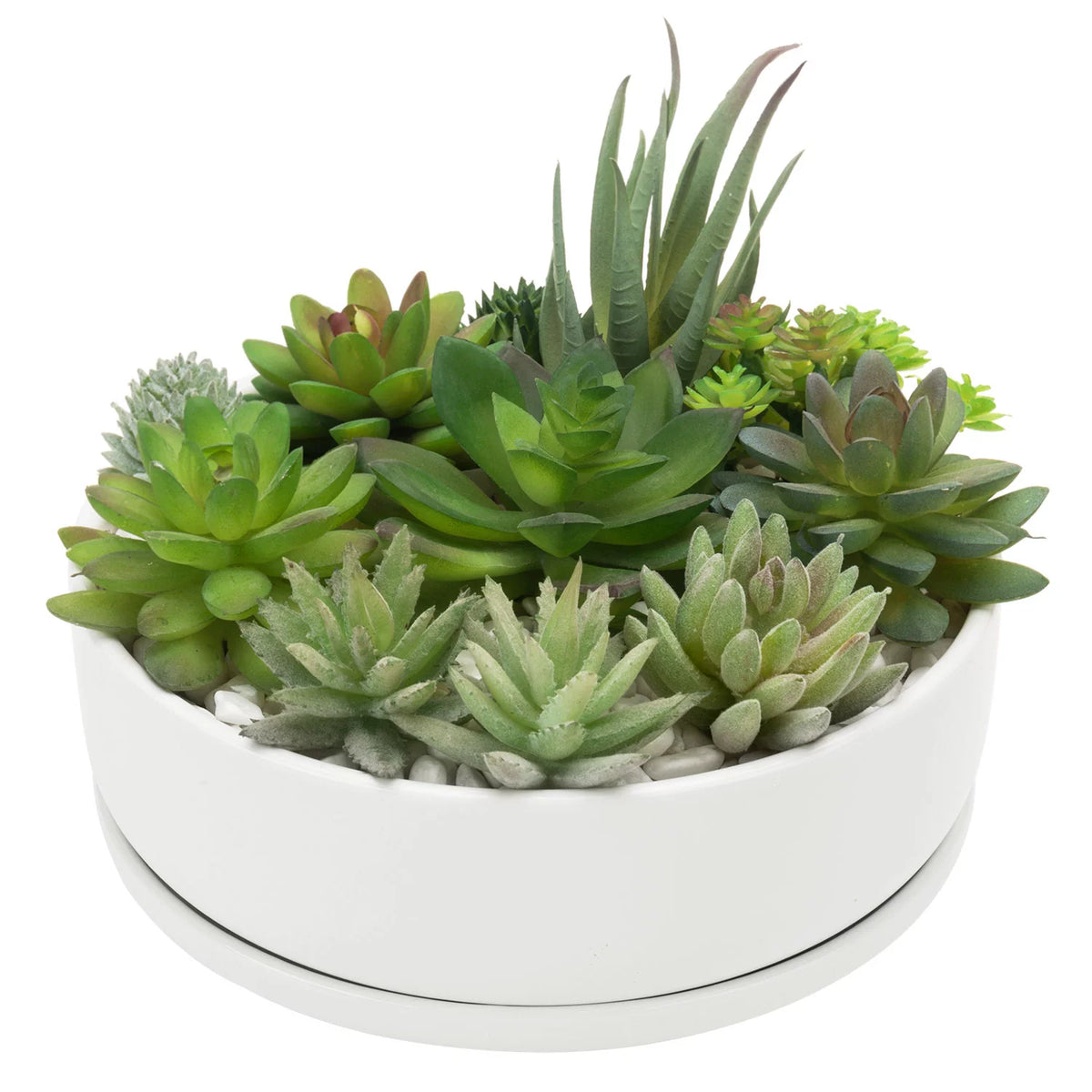 White Ceramic Round Succulent Planter K829413