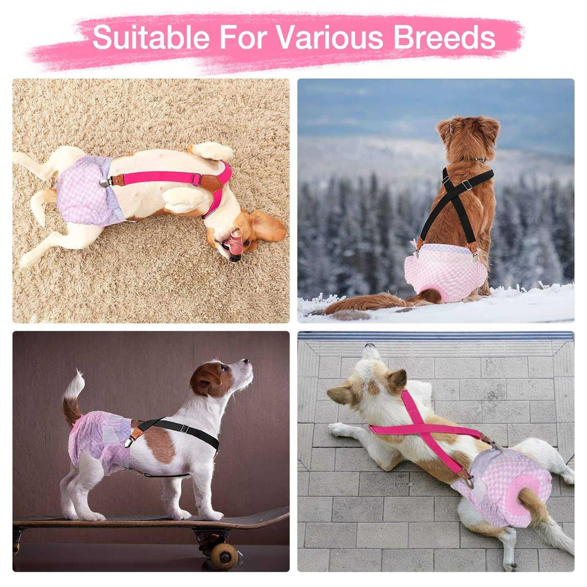 2 Pieces Dog Diaper Suspenders K364