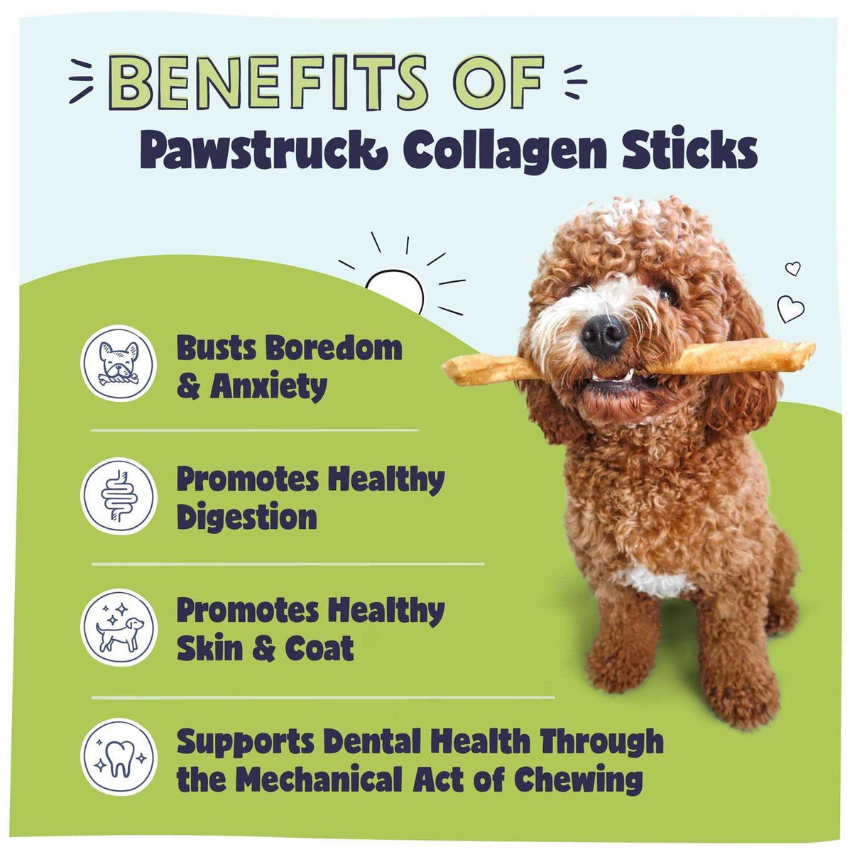 Natural Collagen Sticks for Dogs X866