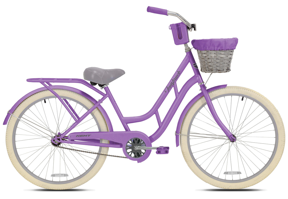 26 Aqua Blue Cruiser D6239