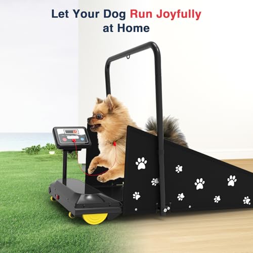 Dog Treadmill with Remote Control & Display Screen C499714