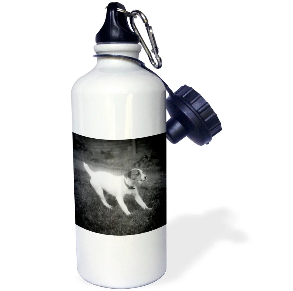 Vintage Jack Russell Terrier Puppy Water Bottle, 21-ounce O81887