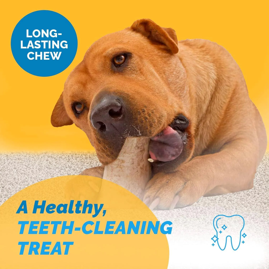 Bone Marrow Chew Bones for Dogs 5-6 inches 6 Count O47236
