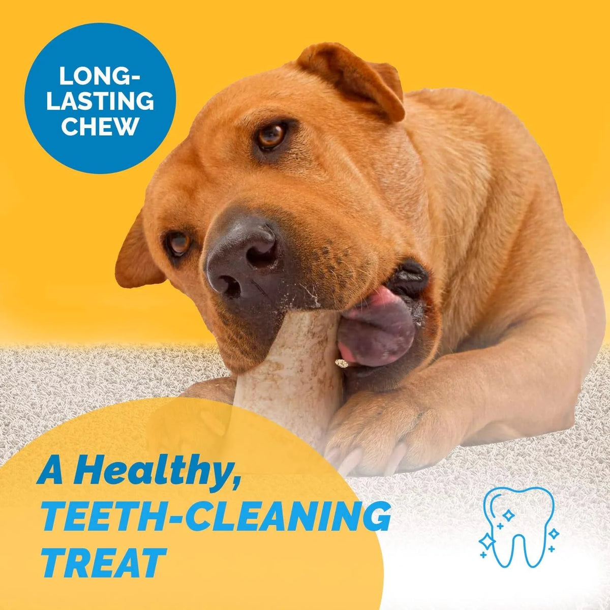 Bone Marrow Chew Bones for Dogs 5-6 inches 6 Count O47236