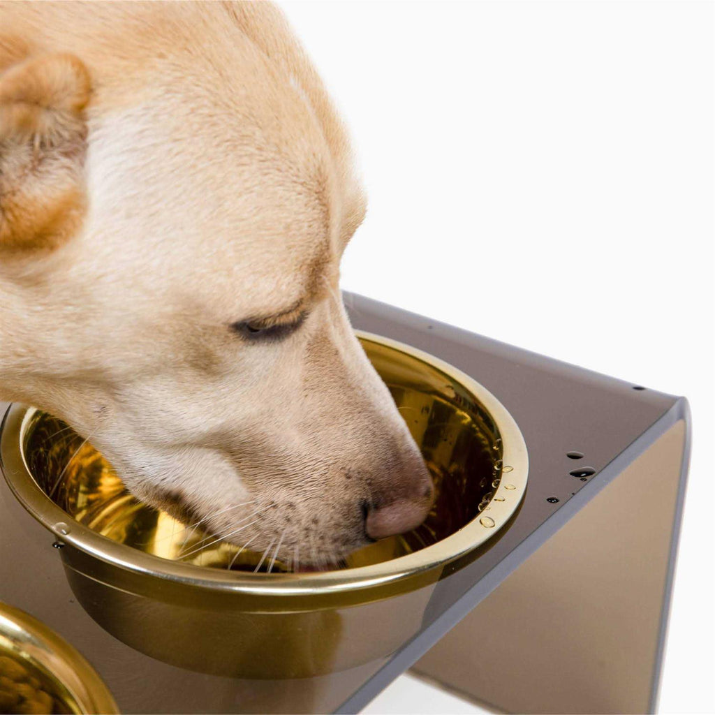 Acrylic Double Bowl Elevated Pet Feeder F126482