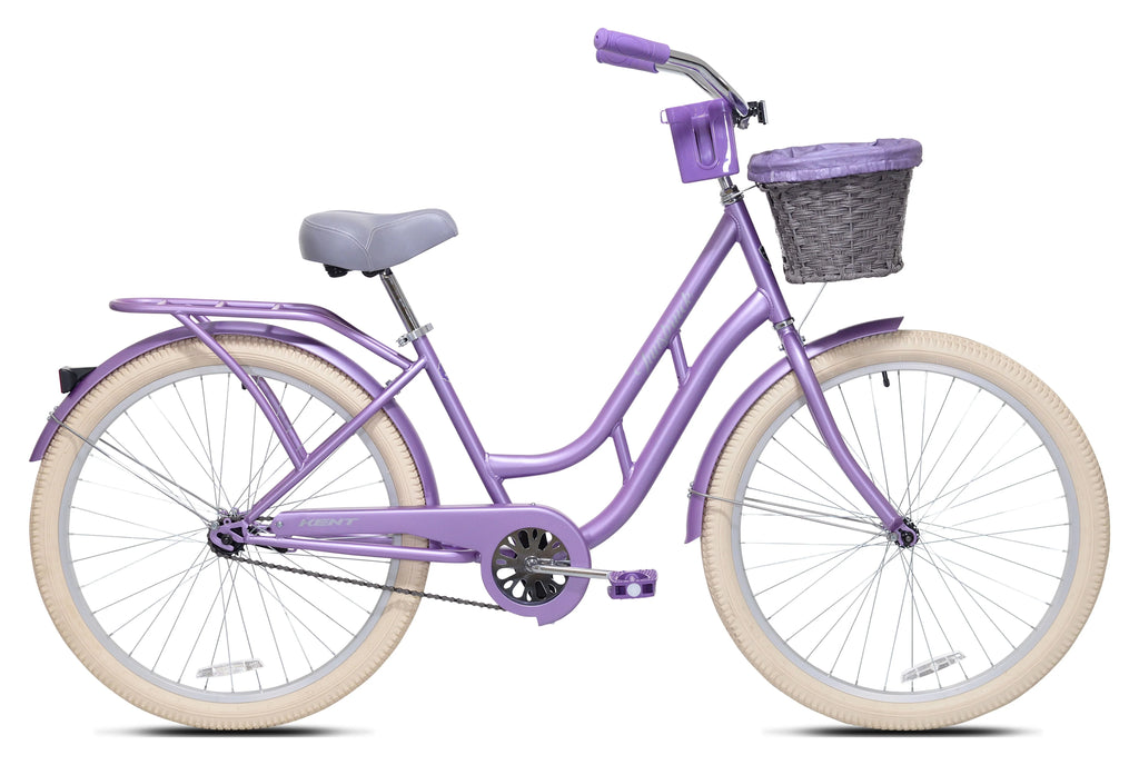 26 Aqua Blue Cruiser D6239