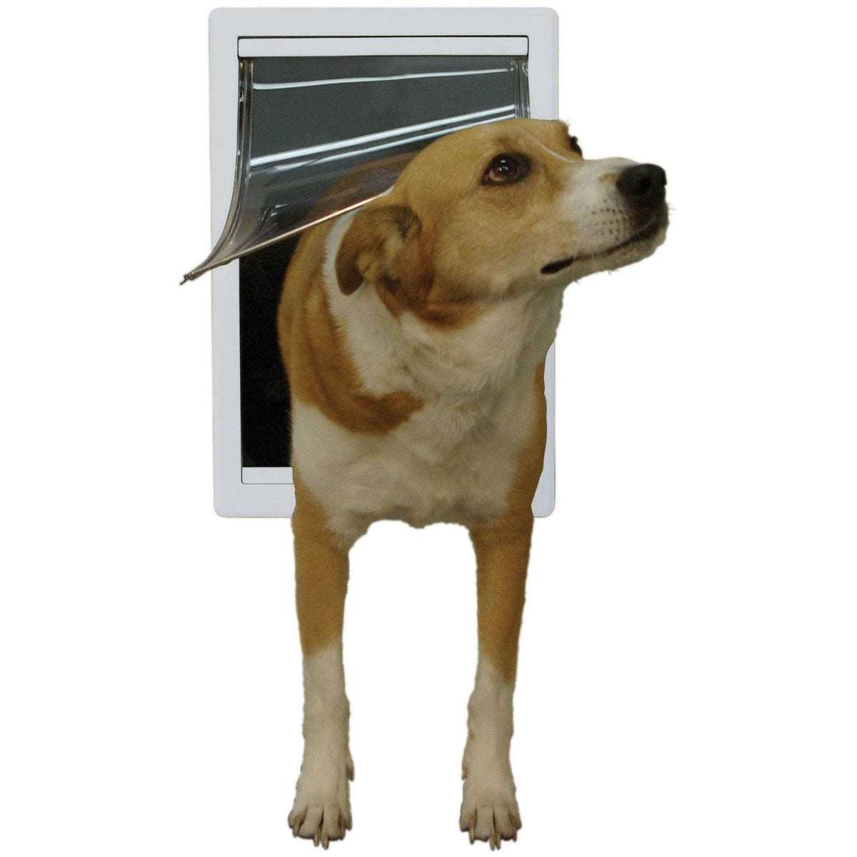 Plastic Pet Door T58432