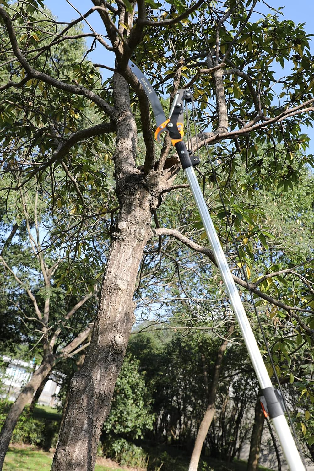 Pole Saws for Tree Trimming, 2 in 1, 3/4'' Cutting Capacity, Adjustable Length 4.6-7 foot U17568