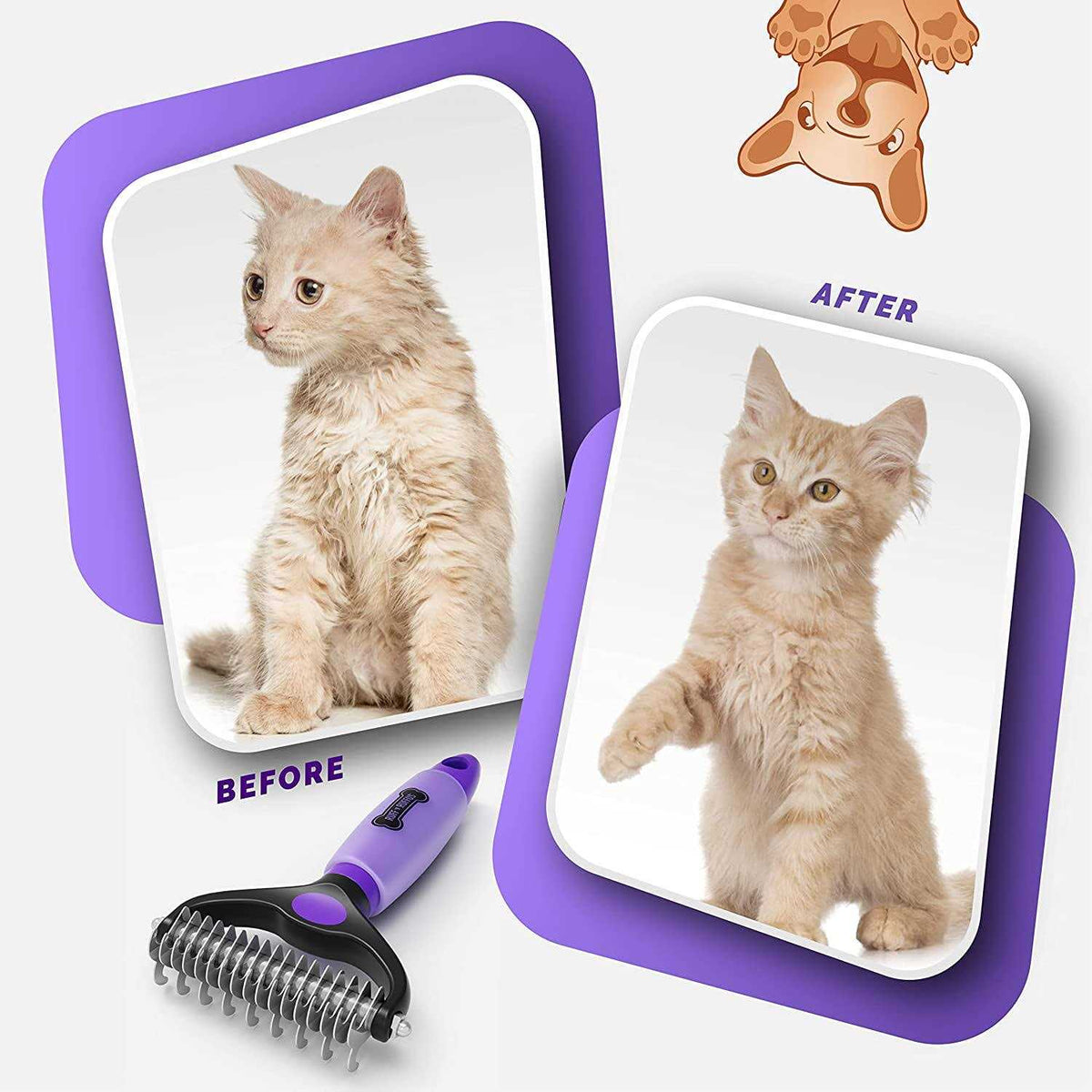 Grooming Kit for Cats and Dogs L6033