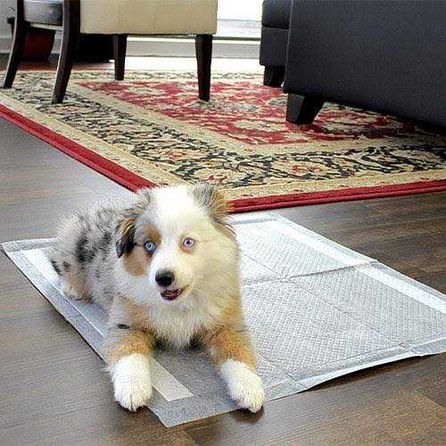 Dog Pee Pads I1256