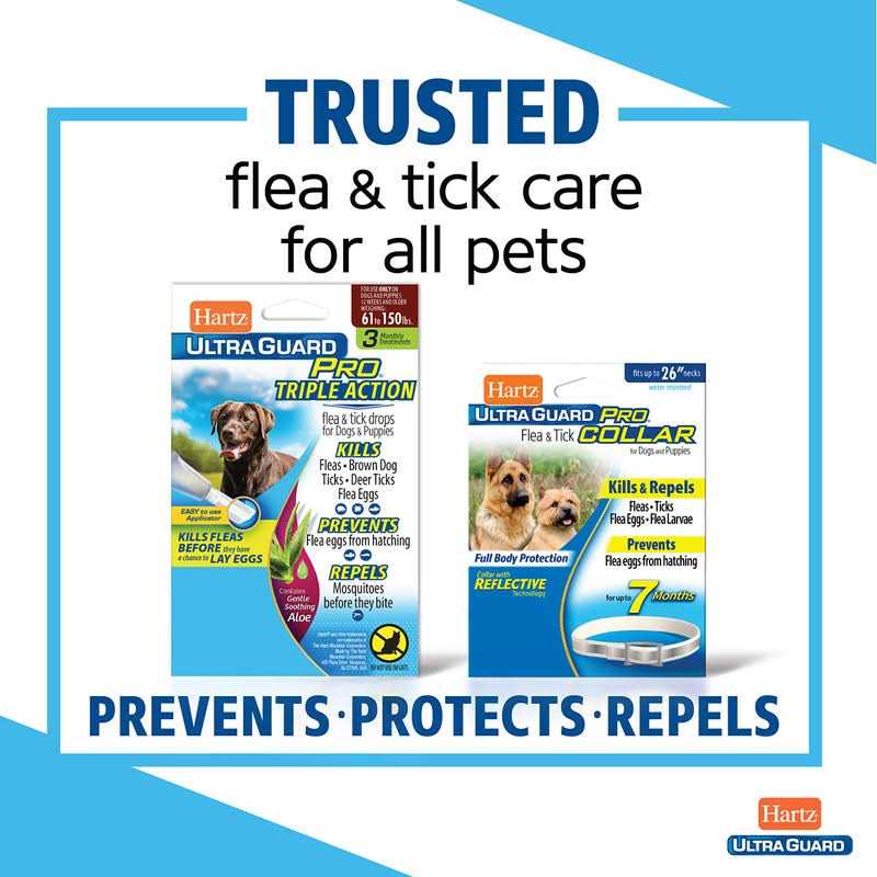 Flea & Tick Prevention For Cats B4120