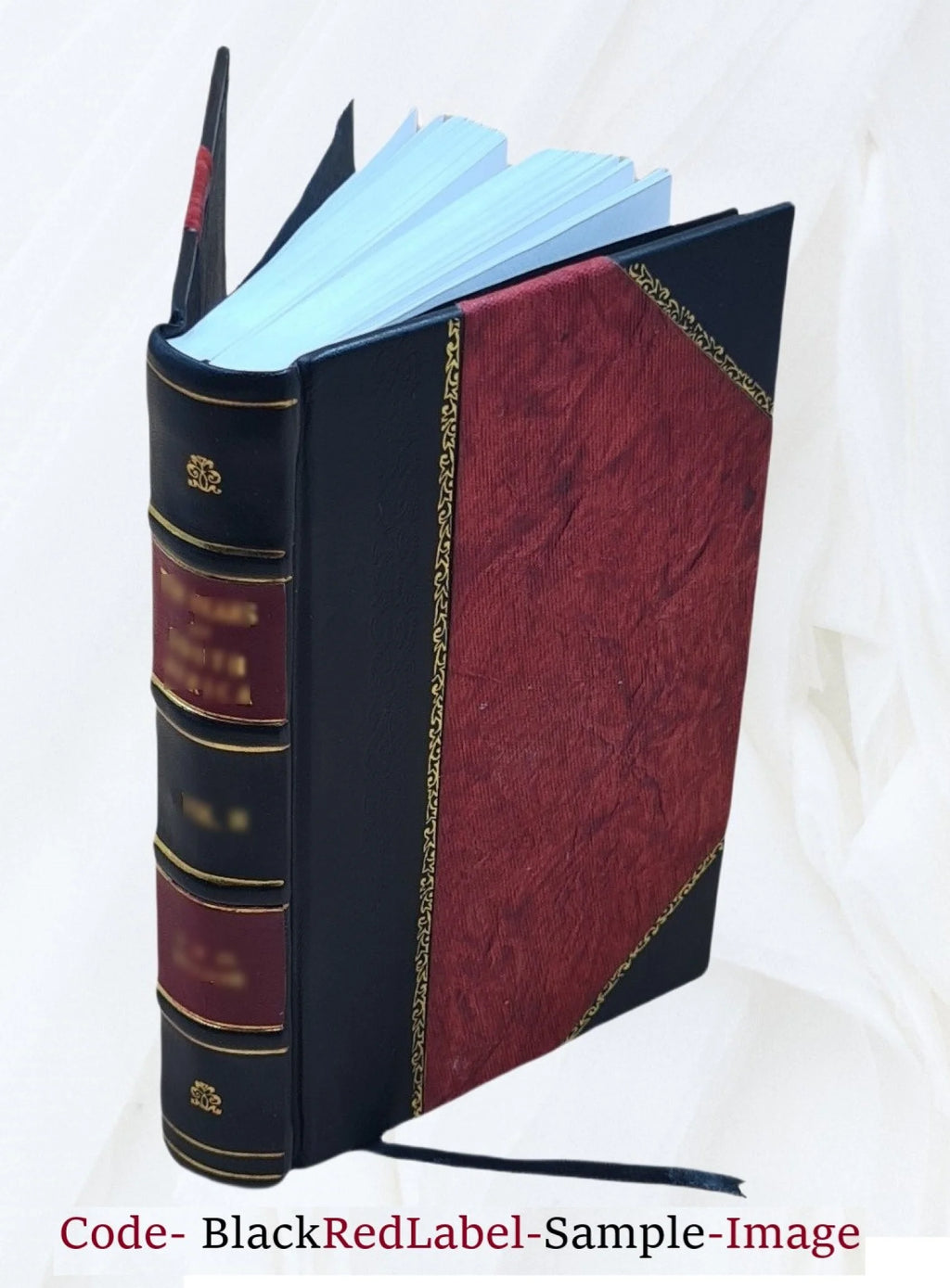 Leather Bound Book N470