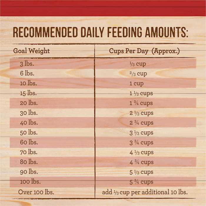 Healthy Grains Freeze Dried Raw Coated Dry Dog Food Brown Rice Recipe Q466